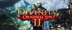 Divinity: Original Sin 2 Trainer