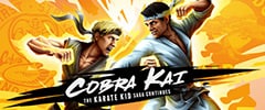 Cobra Kai The Karate Kid Saga Continues Trainer