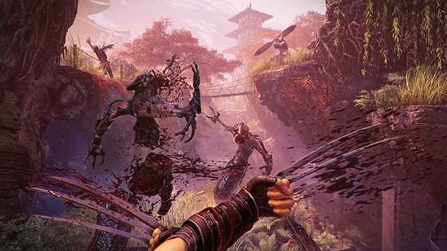 shadow warrior review