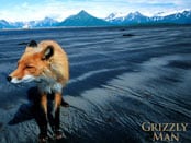 Grizzly Man, The Wallpapers