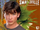 Smallville: Season Three Wallpapers