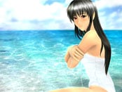 Sexy Beach 2 Wallpapers